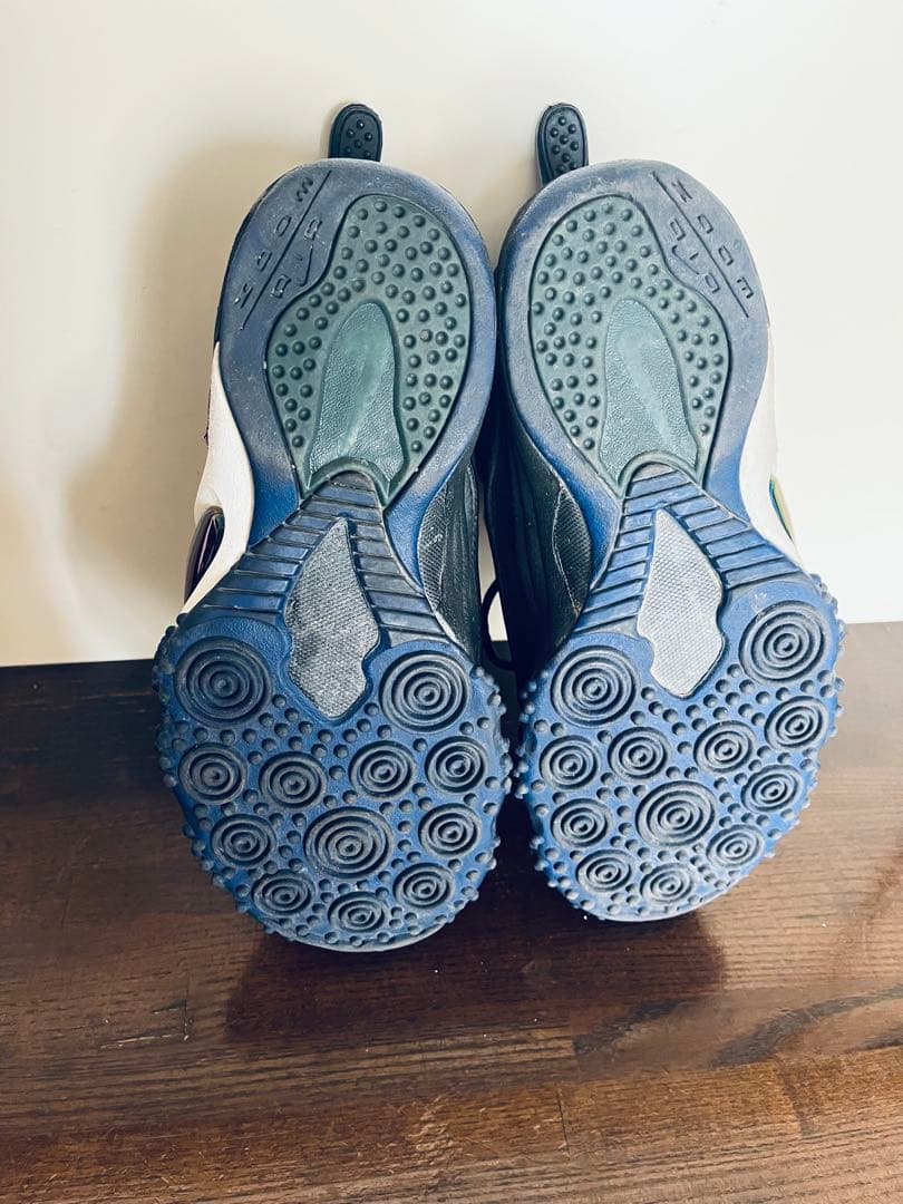 シューズ(男性用) Nike AIR ZOOM FLIGHT 5 27.0