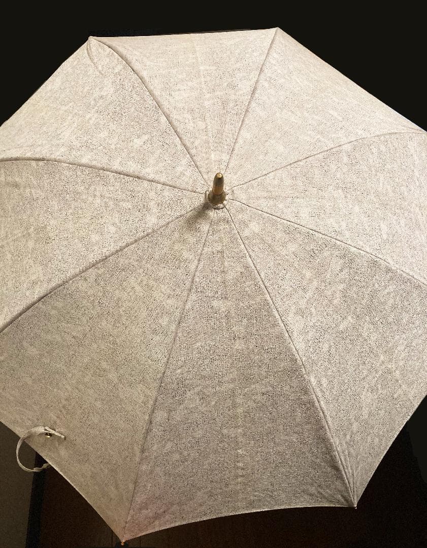 hatsutoki ハツトキ glass scape 晴雨兼用傘 (クラウディ)