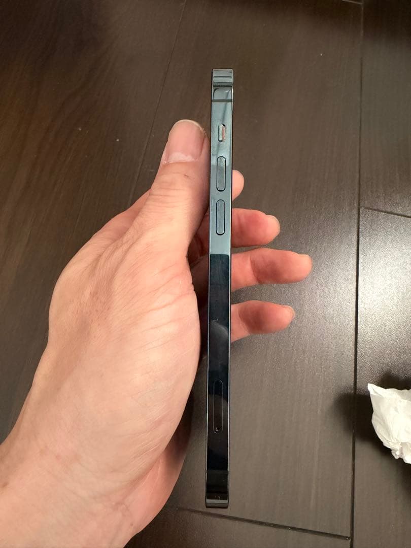 Apple iPhone 12 Pro 256GB本体ラビットさん専用