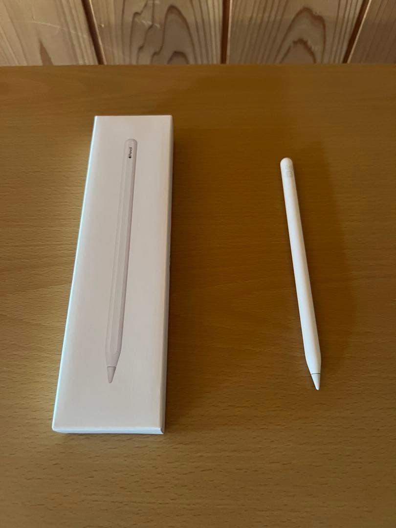 iPad Pro 12.9インチ第5世代　Wi-Fiモデル　512GB シルバー