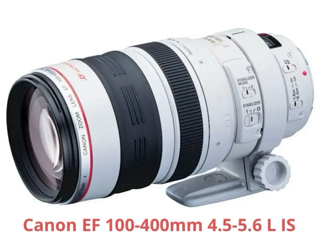 Canon EF 100-400mm 4.5-5.6 L IS マップカメラ良品