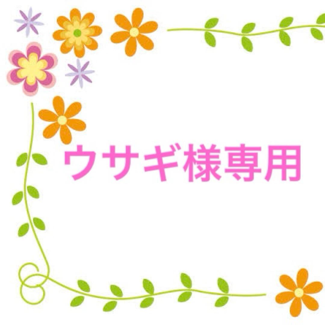 トータス株式会社　カフェロボ　CAFFE ROBO 焙煎器　コーヒーメーカー