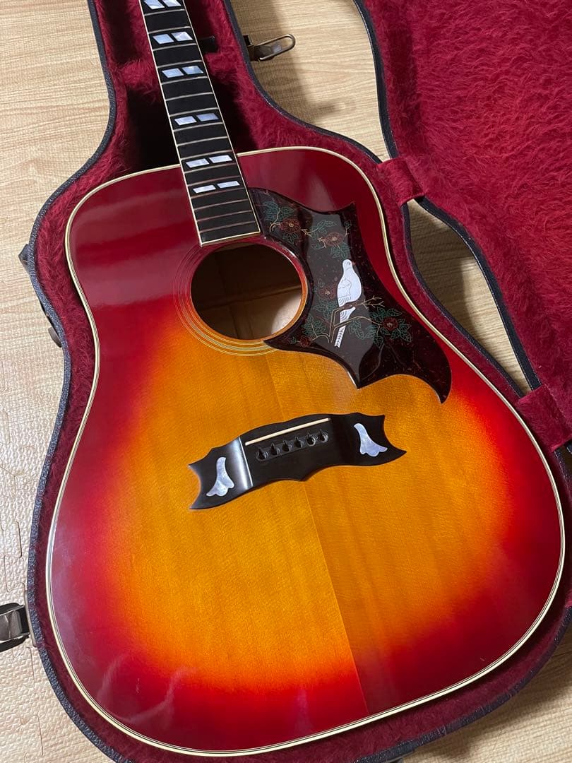 Itami！Gibson Dove 1981年製