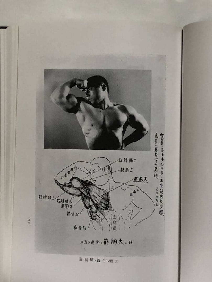怪力法　筋トレ　アームレスリング　腕相撲　古書　古本　若木竹丸　ボディビル　筋肉