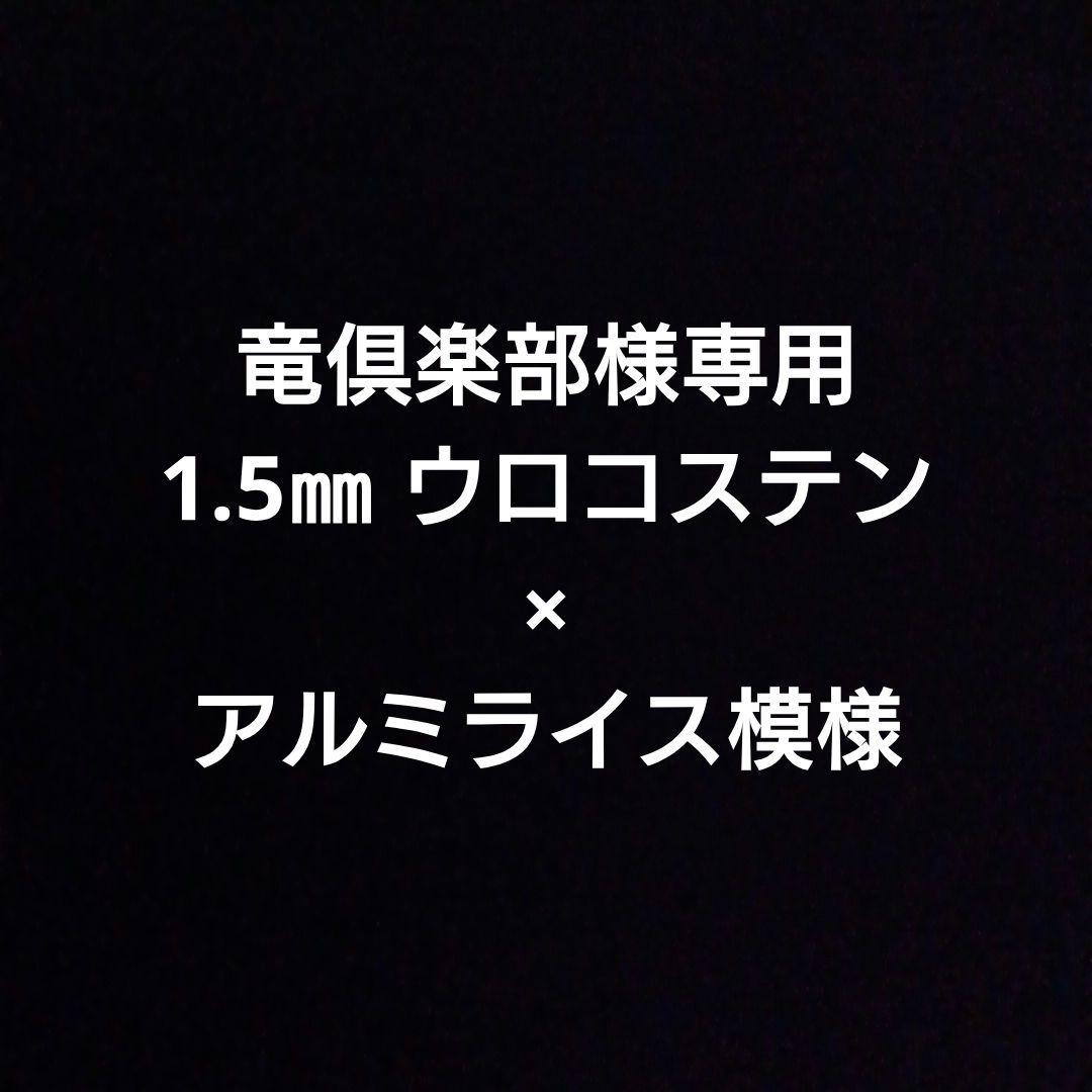 竜倶楽部　泥よけウェイト