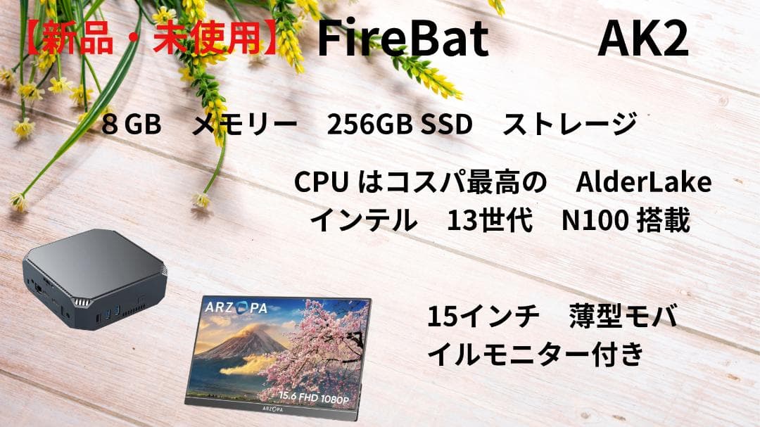 FireBat　　AK2　8GB 256GB + モニター