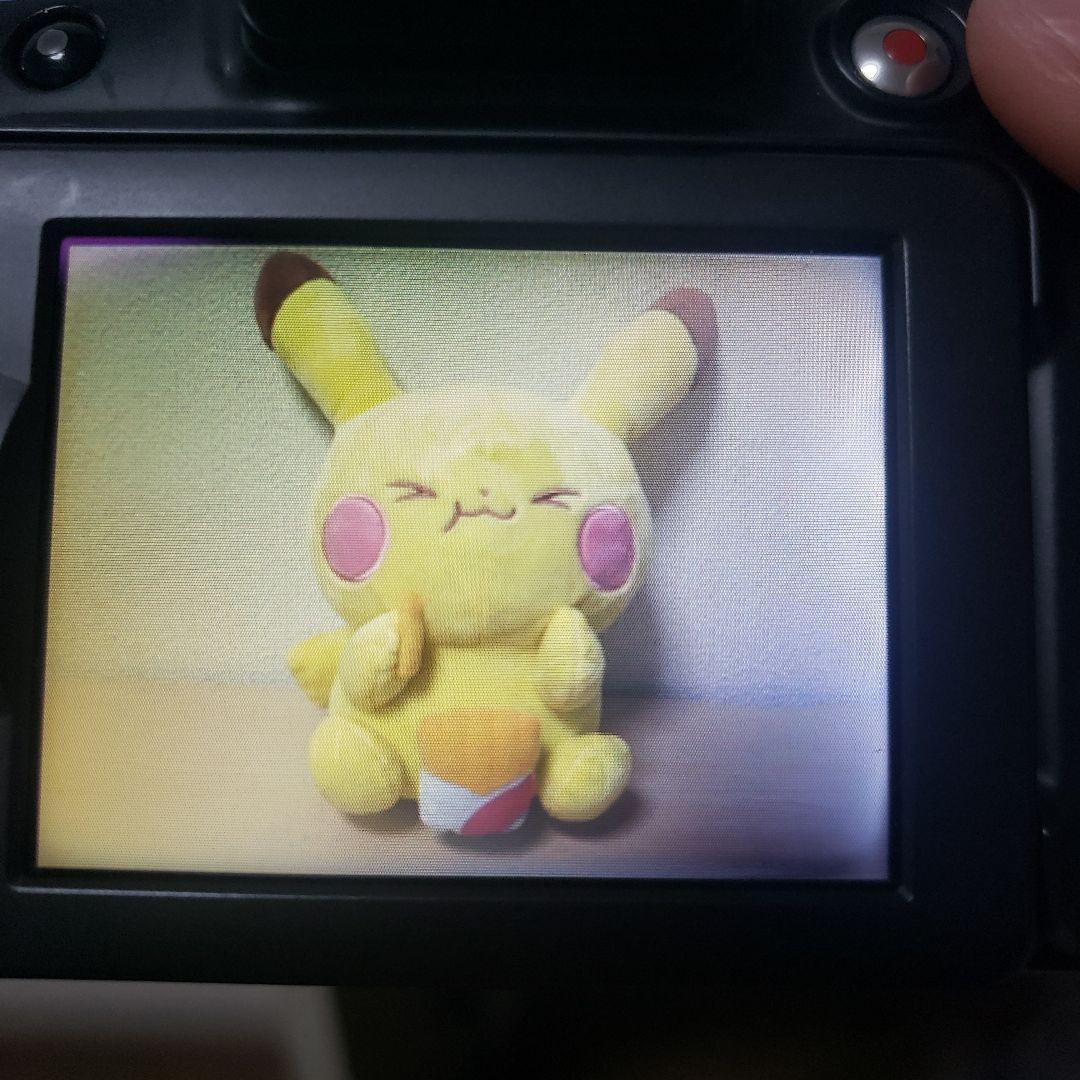 Canon Power Shot SX10IS 動作確認済