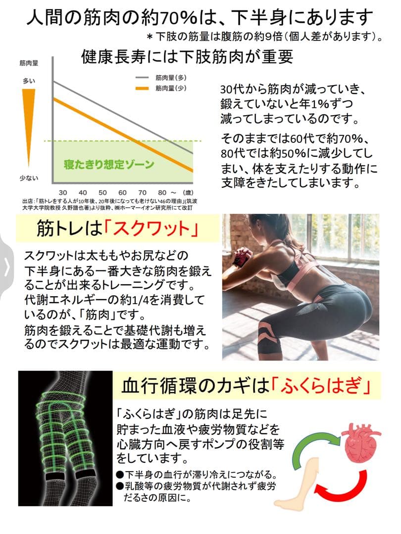 パルストレーナー【美品】 3DEMS