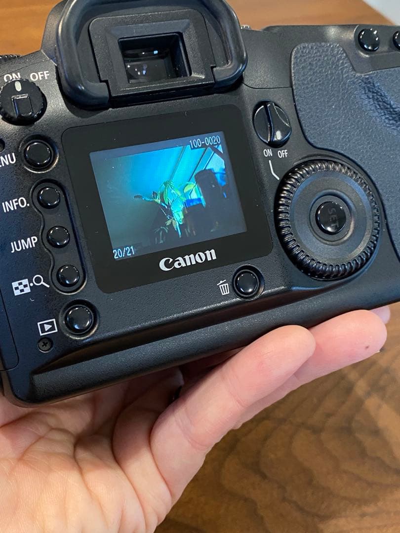 Canon EOS 30D デジタル一眼　シグマ　50ミリ　1:2.8 マクロ