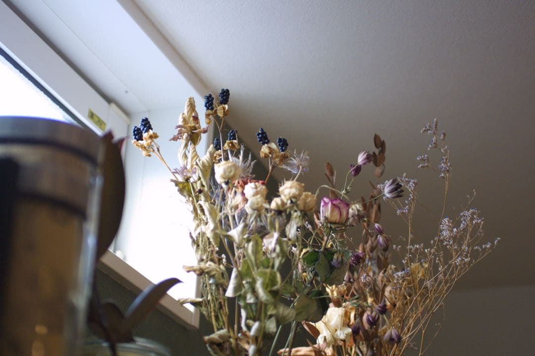 Canon EOS 30D デジタル一眼　シグマ　50ミリ　1:2.8 マクロ