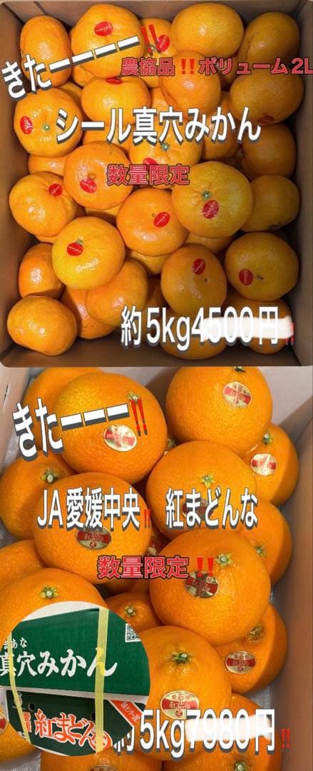 激安きたーー‼️最強コラボ‼️紅まどんな約5k真穴みかん約5kセット8888円4