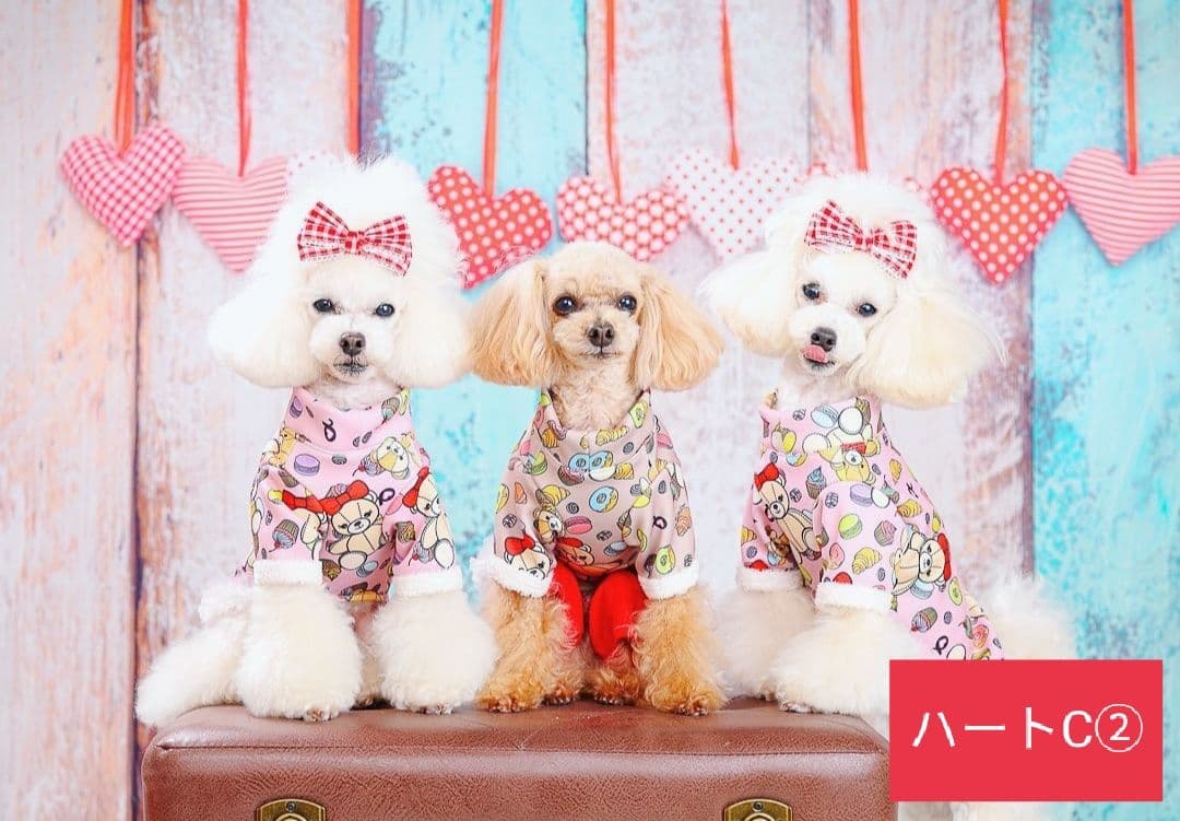 背景布×6+1枚　ペット、サロン撮影用フォトブース　トリミングチョーカー販売中