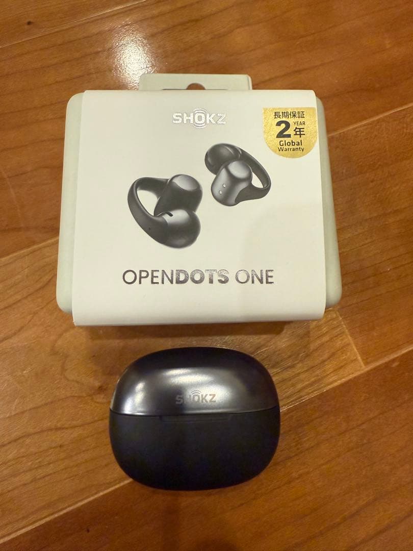 【使用回数1回】SHOKZ OPENDOTS ONE ブラック ショックス