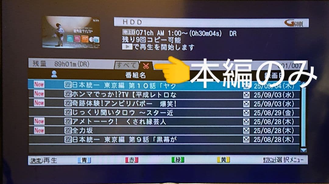 大容量1TB/三菱/DVR-BZ130/CMカット/最高画質で130時間/W録