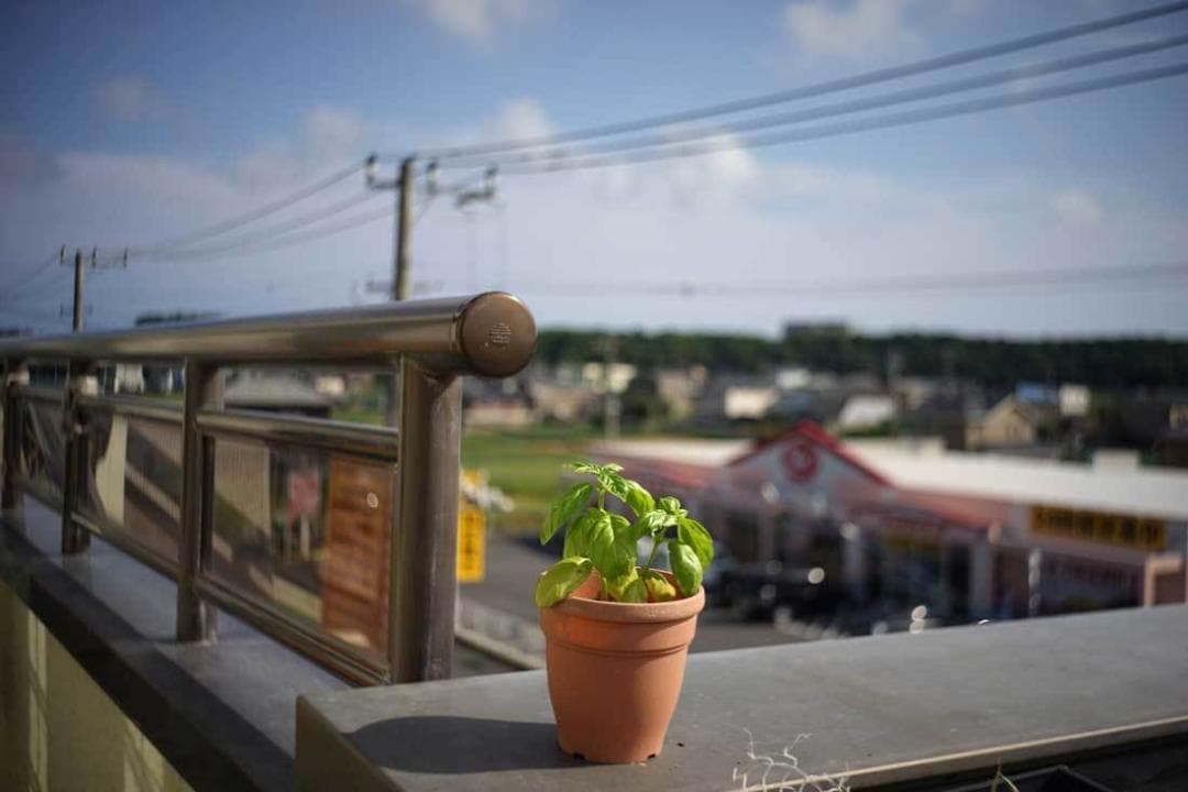 101　美品　ロモ　LOMO スメナ8 40mm F4.0 L39