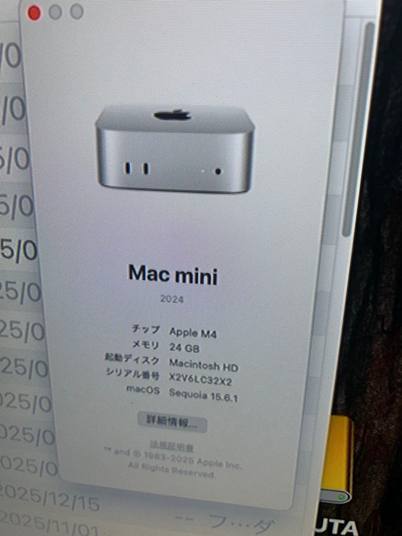 Macデスクトップ Apple Mac mini 2024 M4 24GB