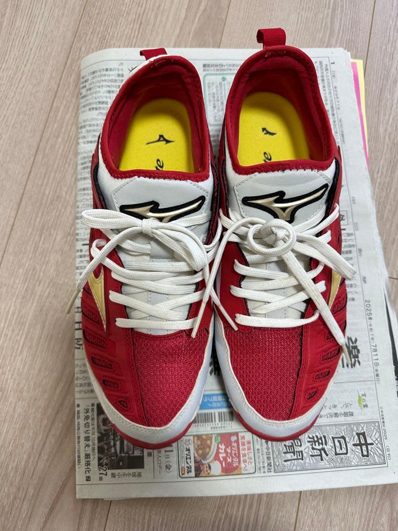 侍ジャパンMizuno Proトレーニングシューズ 27.5cmレア 限定モデル