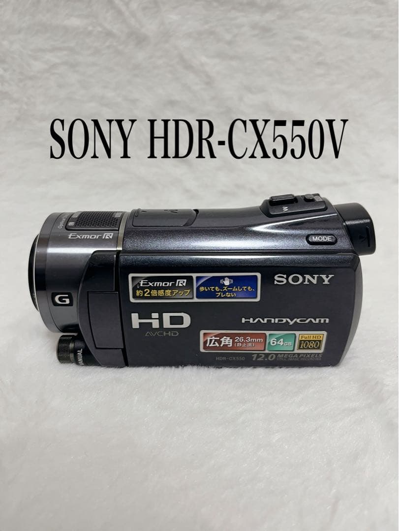 【動作確認済】SONY ハンディカム デジタルビデオカメラ HDR-CX550V