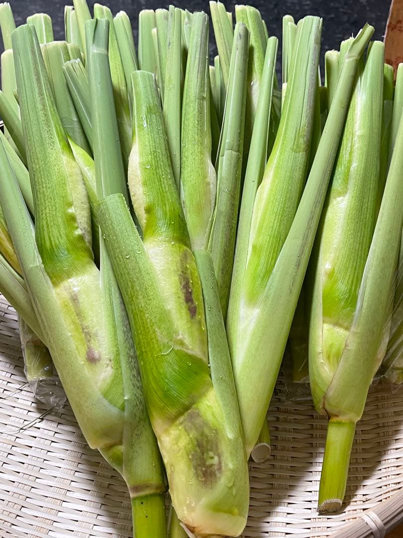 【採れたて】特大 終盤 マコモダケ宅急便80 5kg 愛知県産 自然農