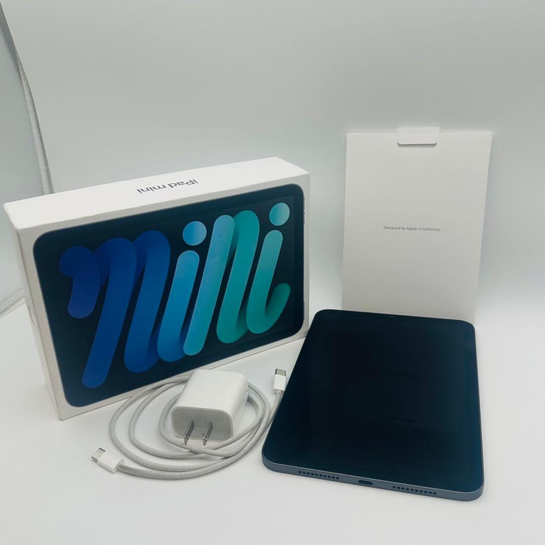 Apple iPad mini (青色) 本体