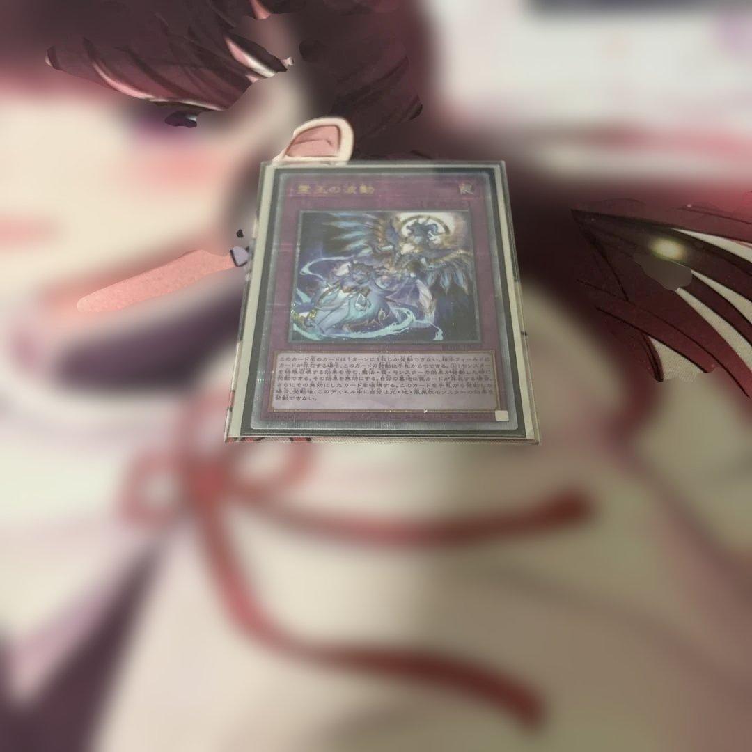 ドミナスインパルス 25シク1枚