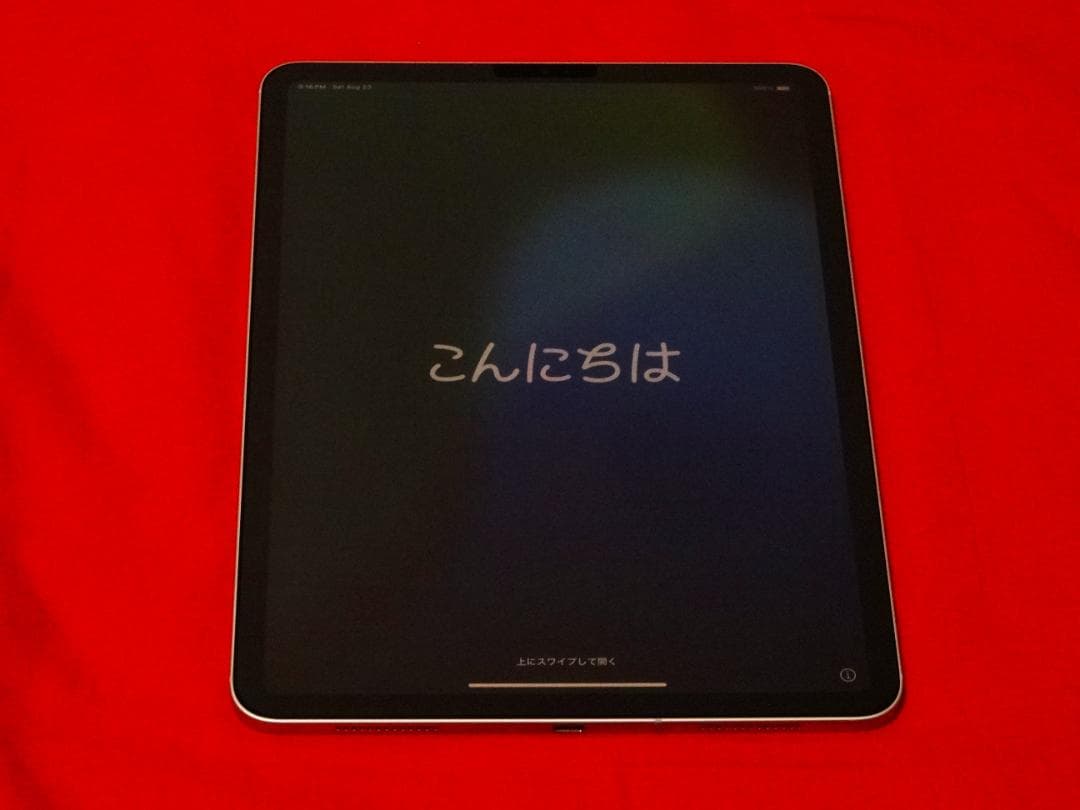 iPad Pro 11 64GB 国内版SIMフリー 美品 バッテリー100%