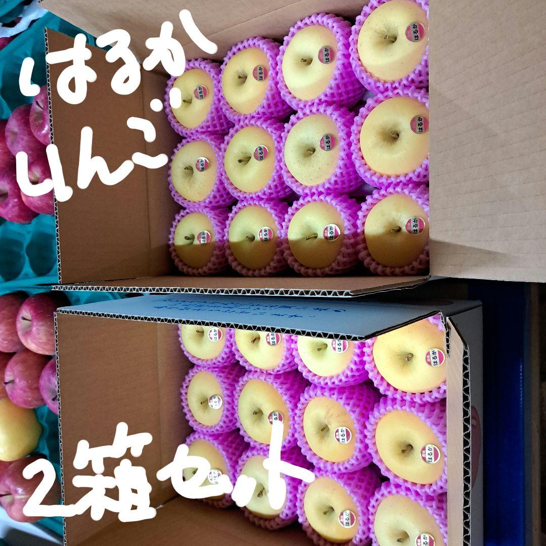 はるかりんご贈答用　3キロ箱 2箱セット