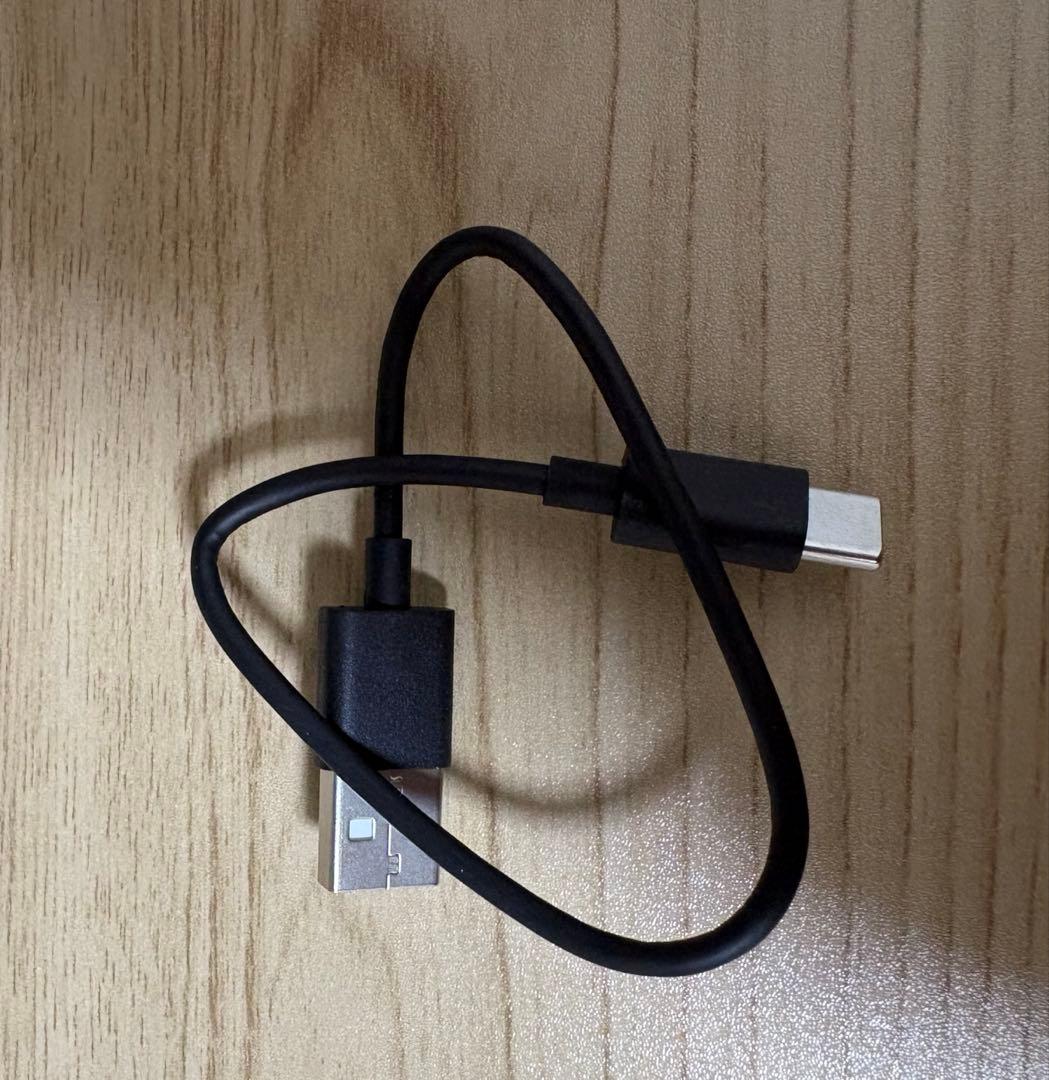 【美品、保証書有】Victor WOOD master サンバーストブラウン