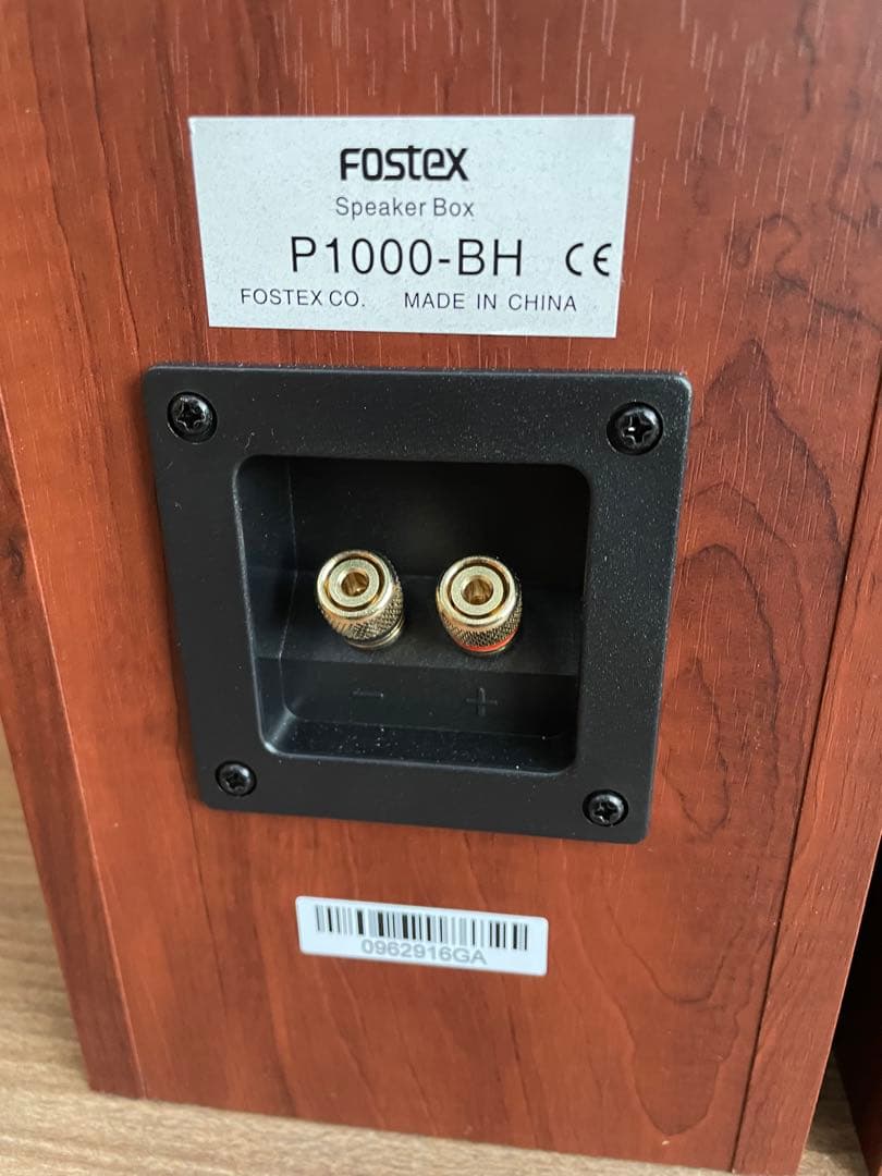 FOSTEX FE-103NV付P1000-BHバックロードホーンセット