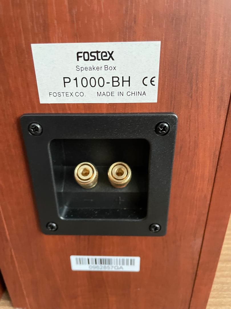 FOSTEX FE-103NV付P1000-BHバックロードホーンセット