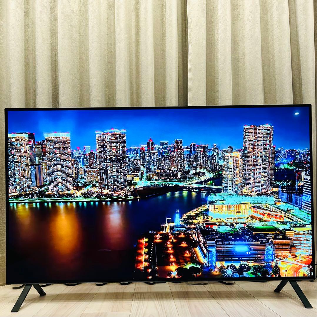 LG 48型 2022年製 Alexa搭載 OLED48A2PJA 4K有機EL