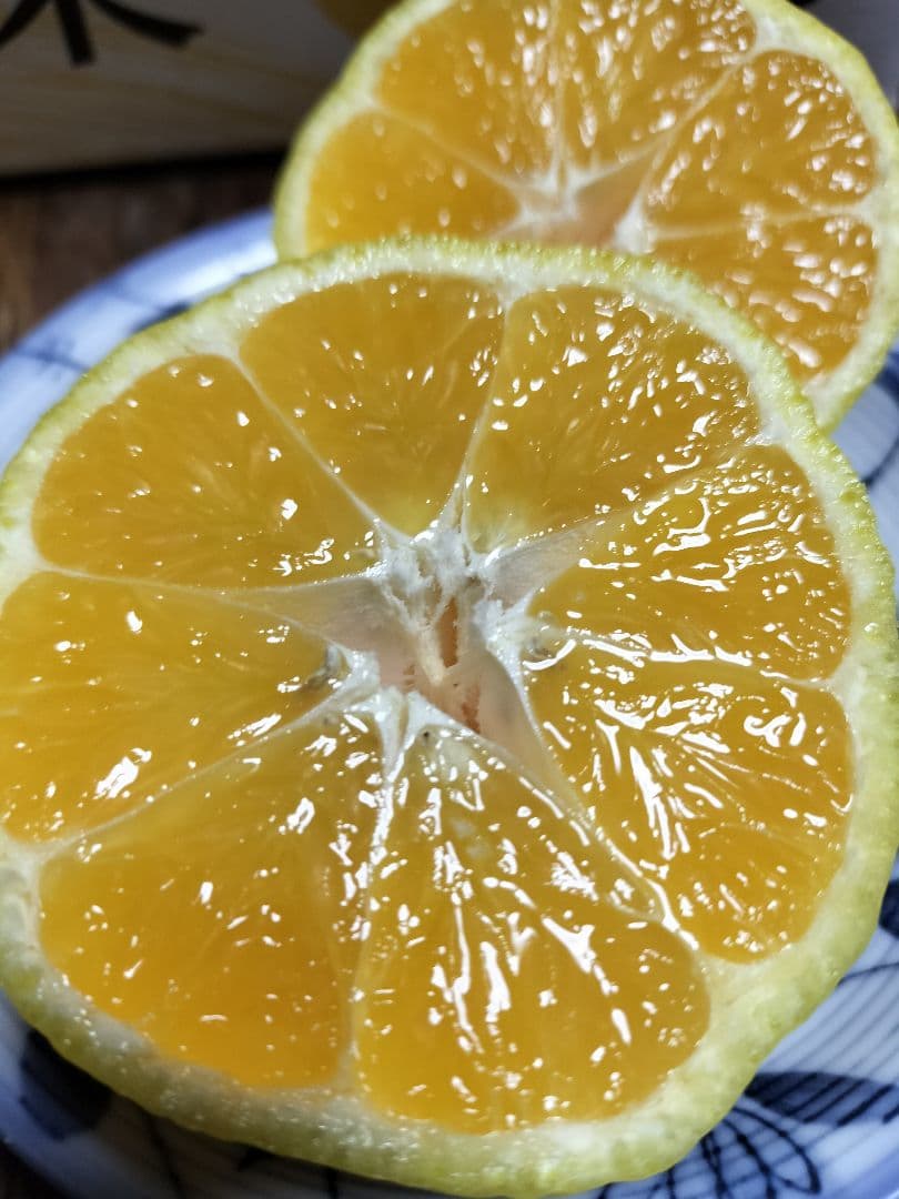 媛媛小春　9kg　愛媛県松山市産