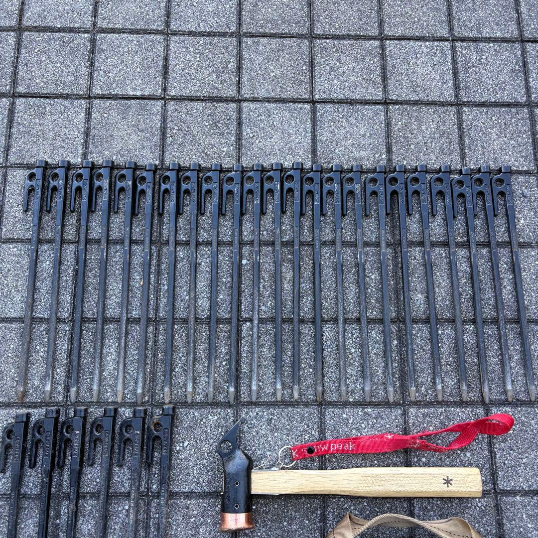  peak ペグセット BALLISTICS ケース付き