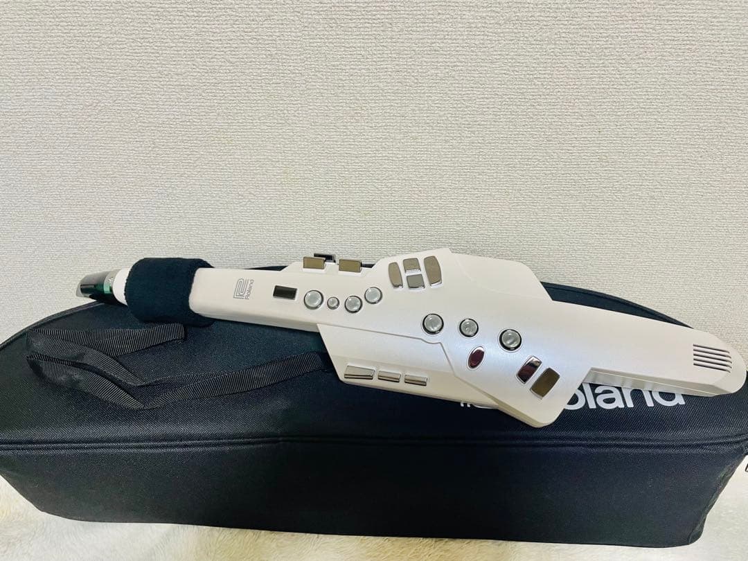 エアロフォンAE-10 ハードケース＆教本（CDなし）付き