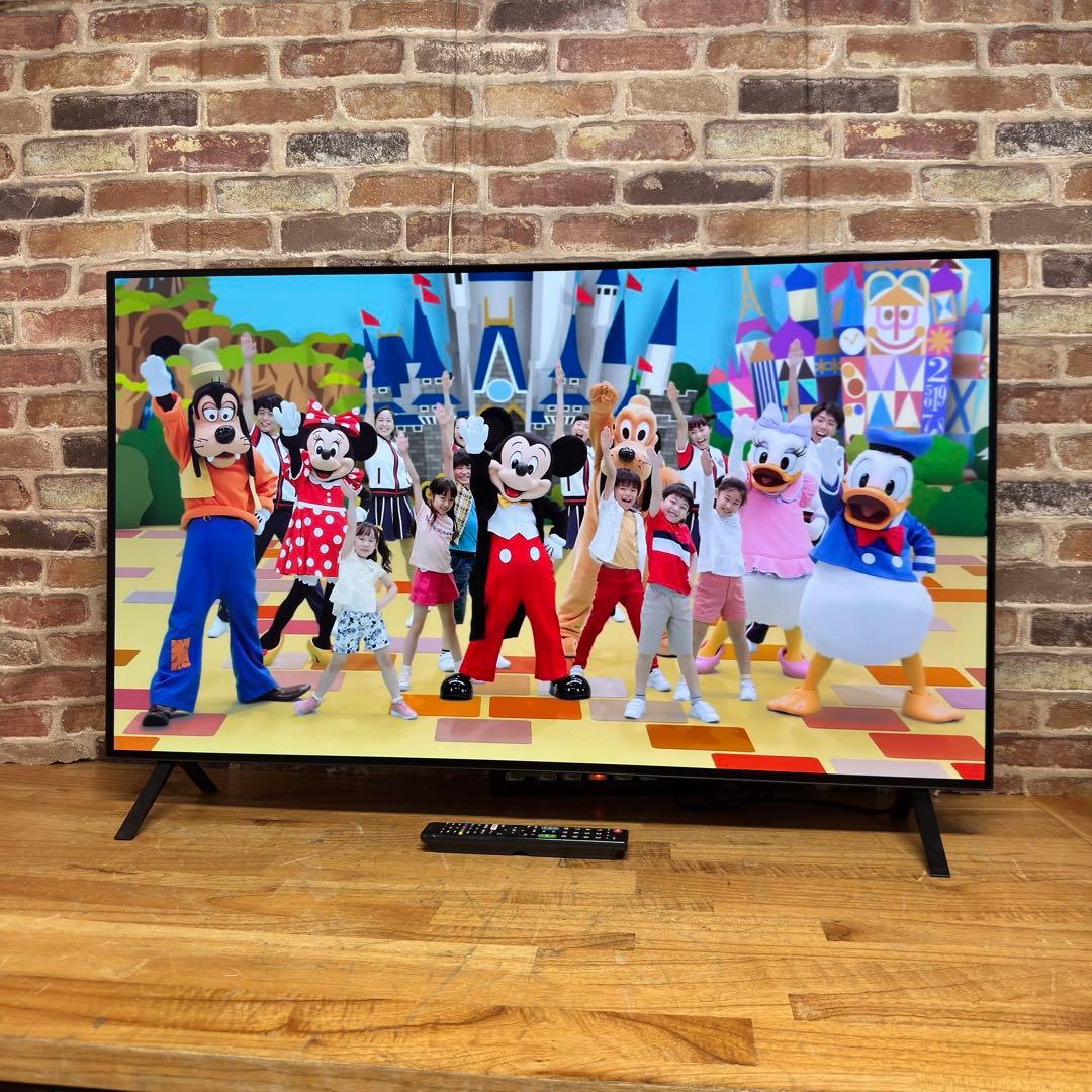 LG 55インチ 4K 有機ELテレビ OLED55A2PJA 動画アプリ搭載