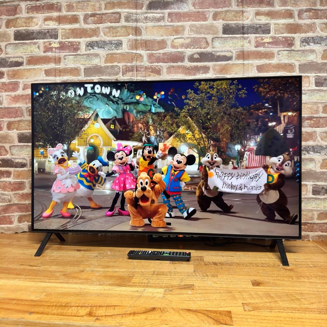 LG 55インチ 4K 有機ELテレビ OLED55A2PJA 動画アプリ搭載