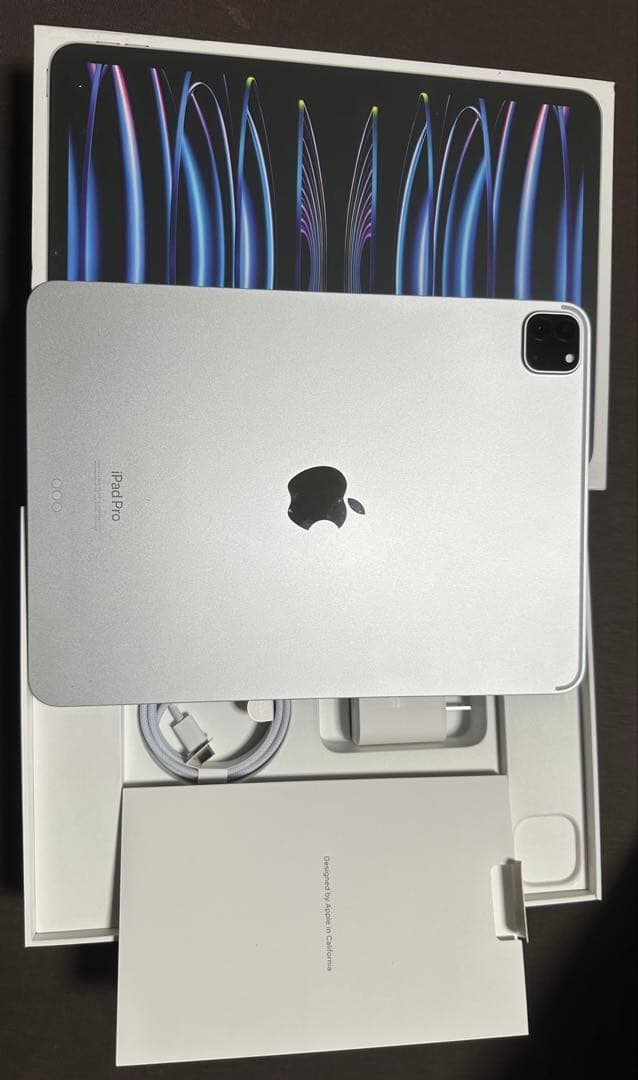 （水没品）Apple iPad Pro (11インチ) 第4世代 512GB