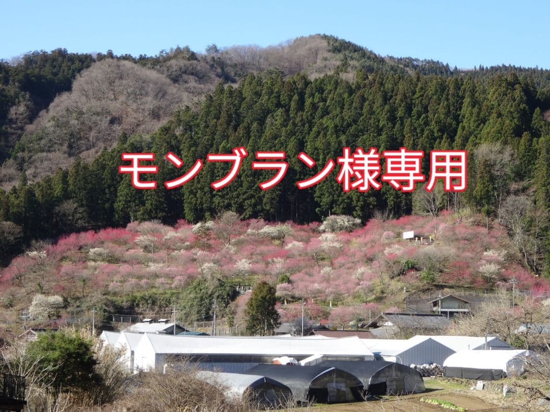 モンブラン!!南砺ペグマタイト他