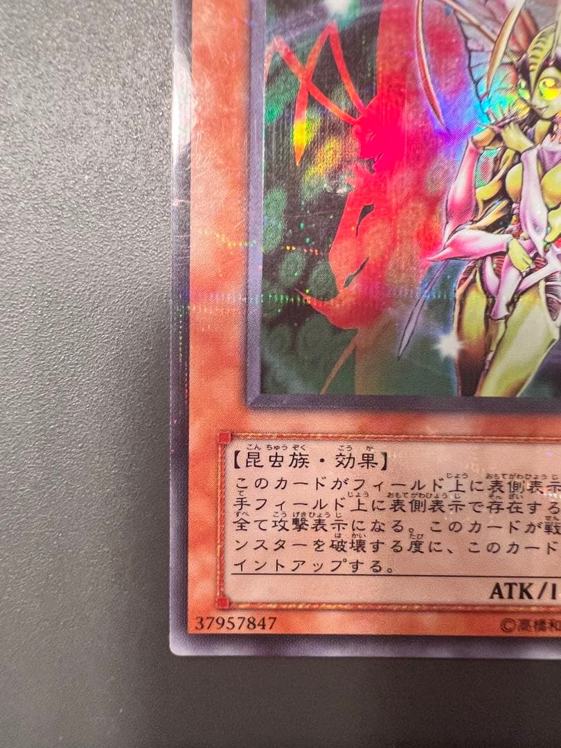 遊戯王カード インセントプリンセス