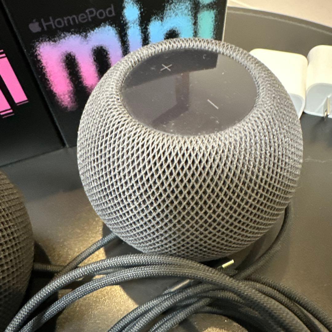 Pod mini - スペースグレイ 2個セット(2021年)