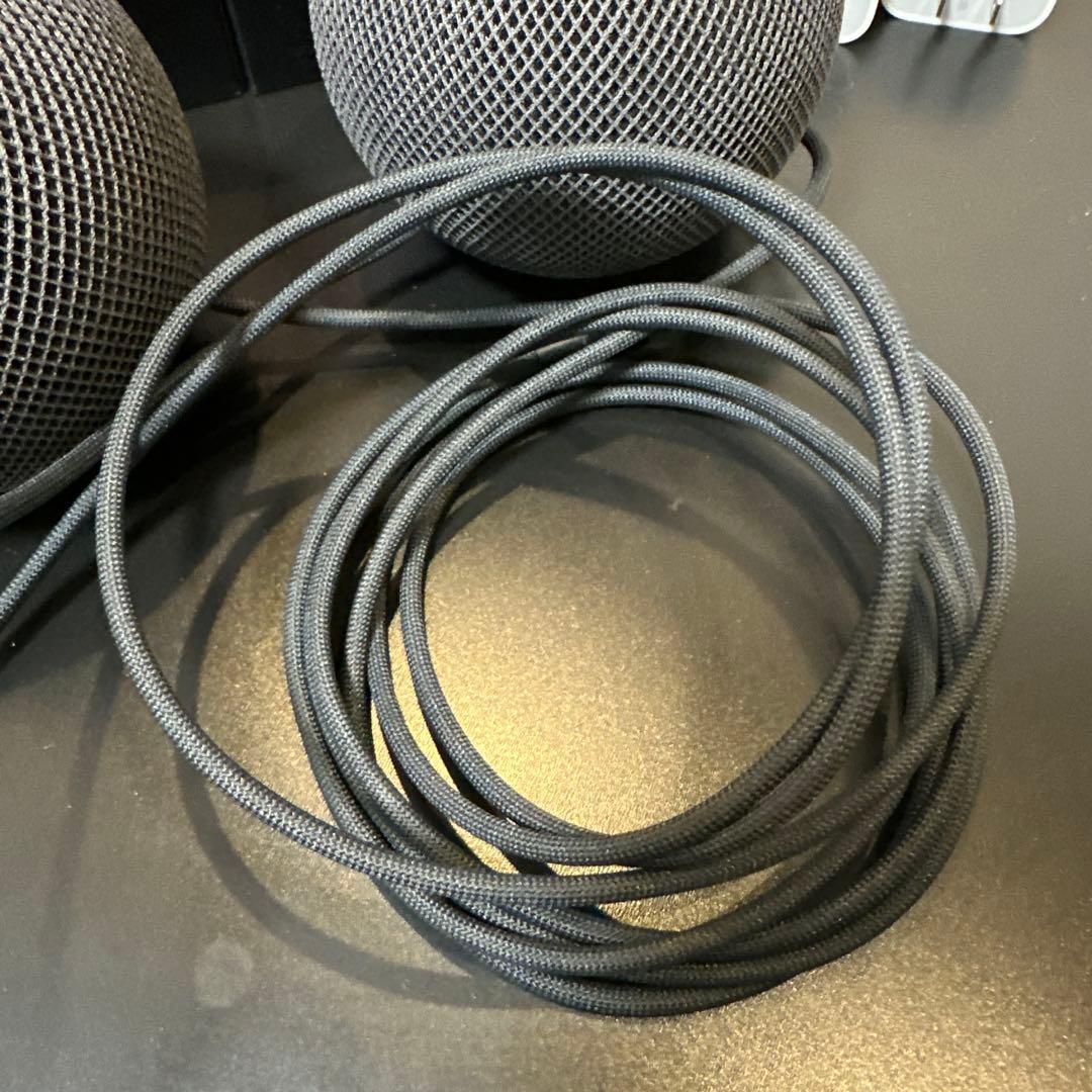 Pod mini - スペースグレイ 2個セット(2021年)