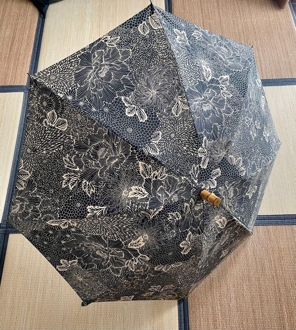 ほ*し様 ツタエノヒガサ　傳tutaee