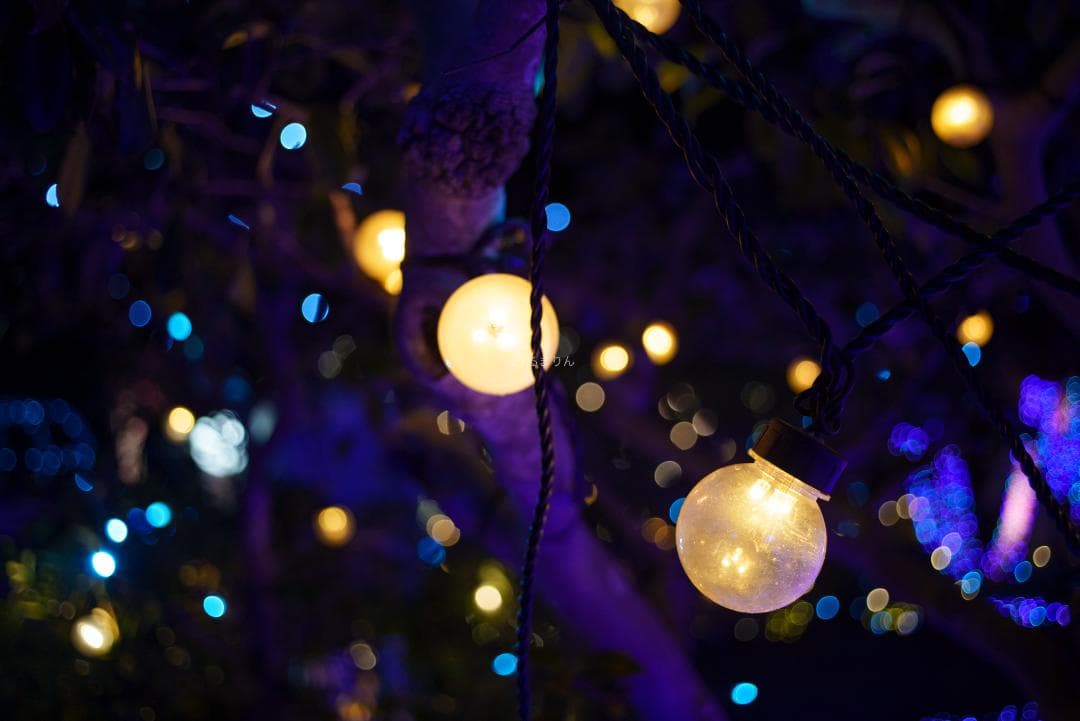 ジュン様　広角ニュージェネレーション Leica Elmarit-M 28mm