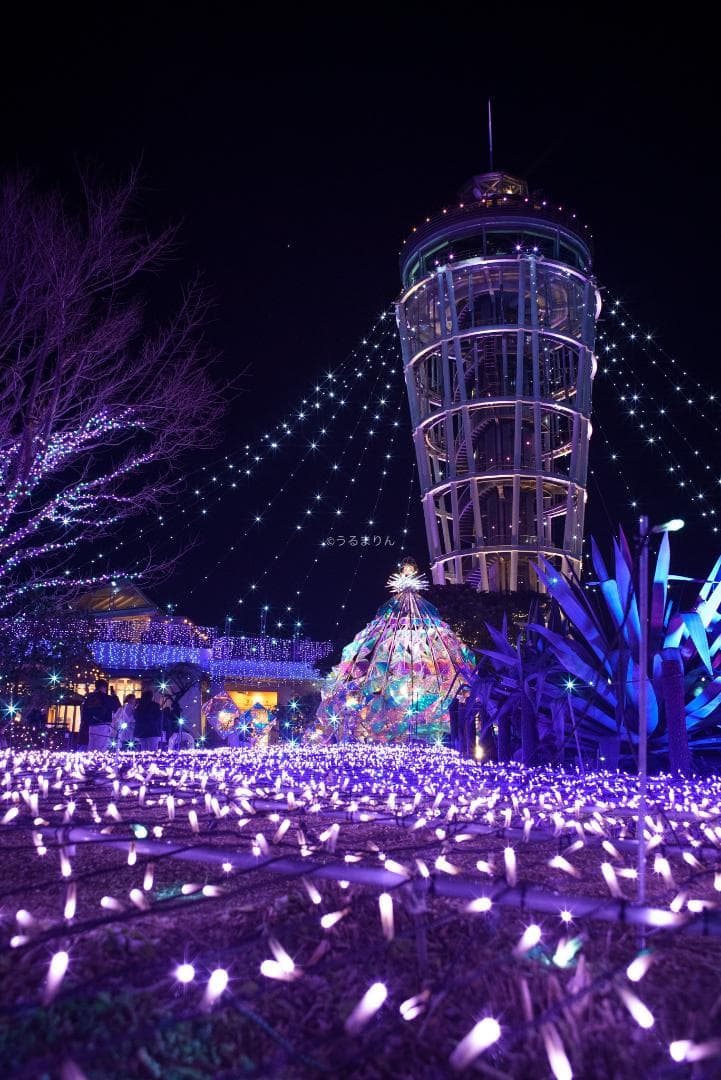 ジュン様　広角ニュージェネレーション Leica Elmarit-M 28mm