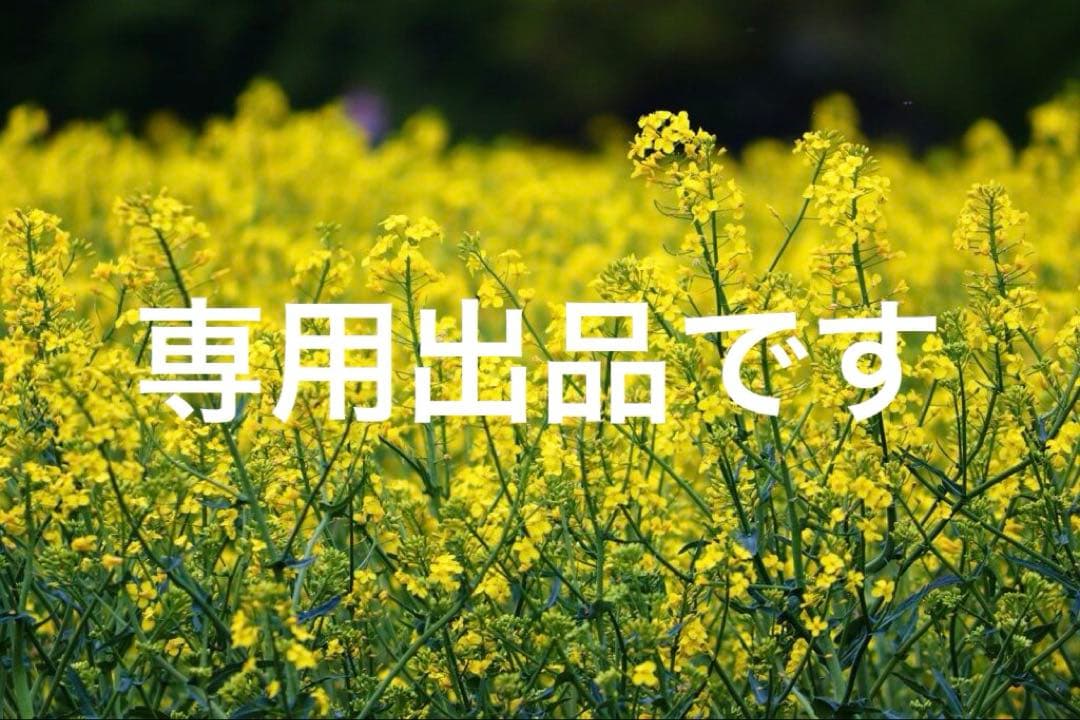 専用出品です❗️ご注意下さい