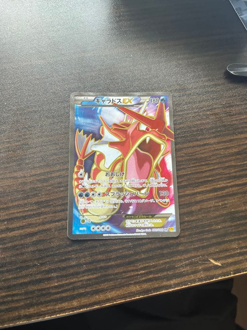 ギャラドスEX SR XY9 破天の怒り 081/080 +おまけ付き（秘密）