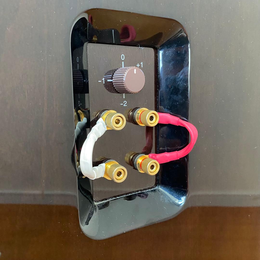 ①FOSTEX　GX250　フォステクス　トールボーイ　スピーカー　1本