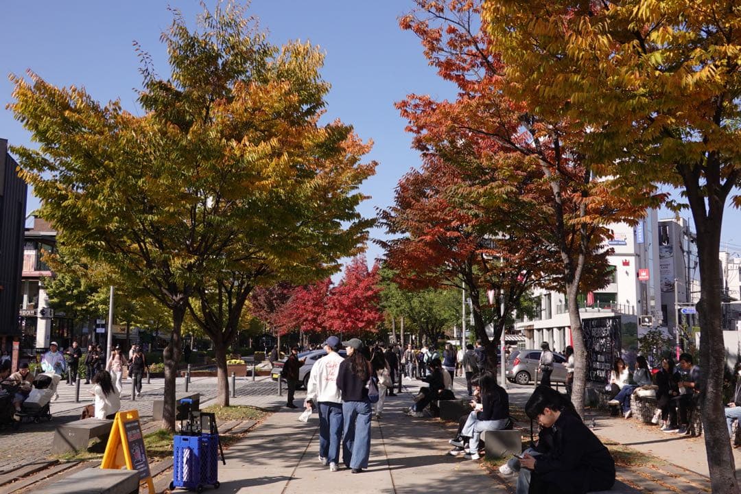 美品 SONY Cyber-shot RX100 VI VLOG バッテリセット