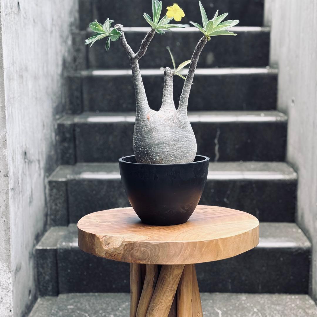 yu.m★さん専用【週末限定SALE】スタンドテーブル カウンターテーブル