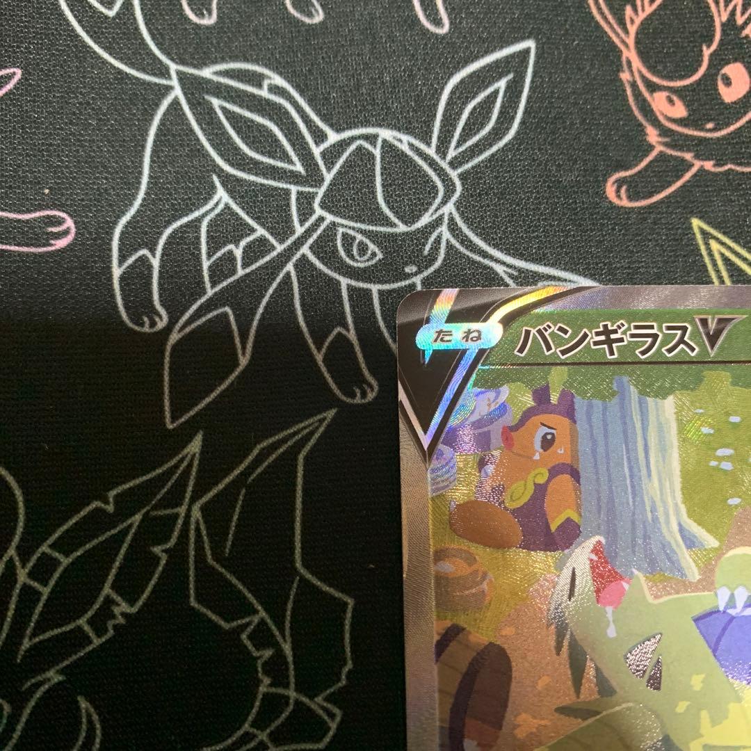 最安値！即購入OK、バンギラスV SR